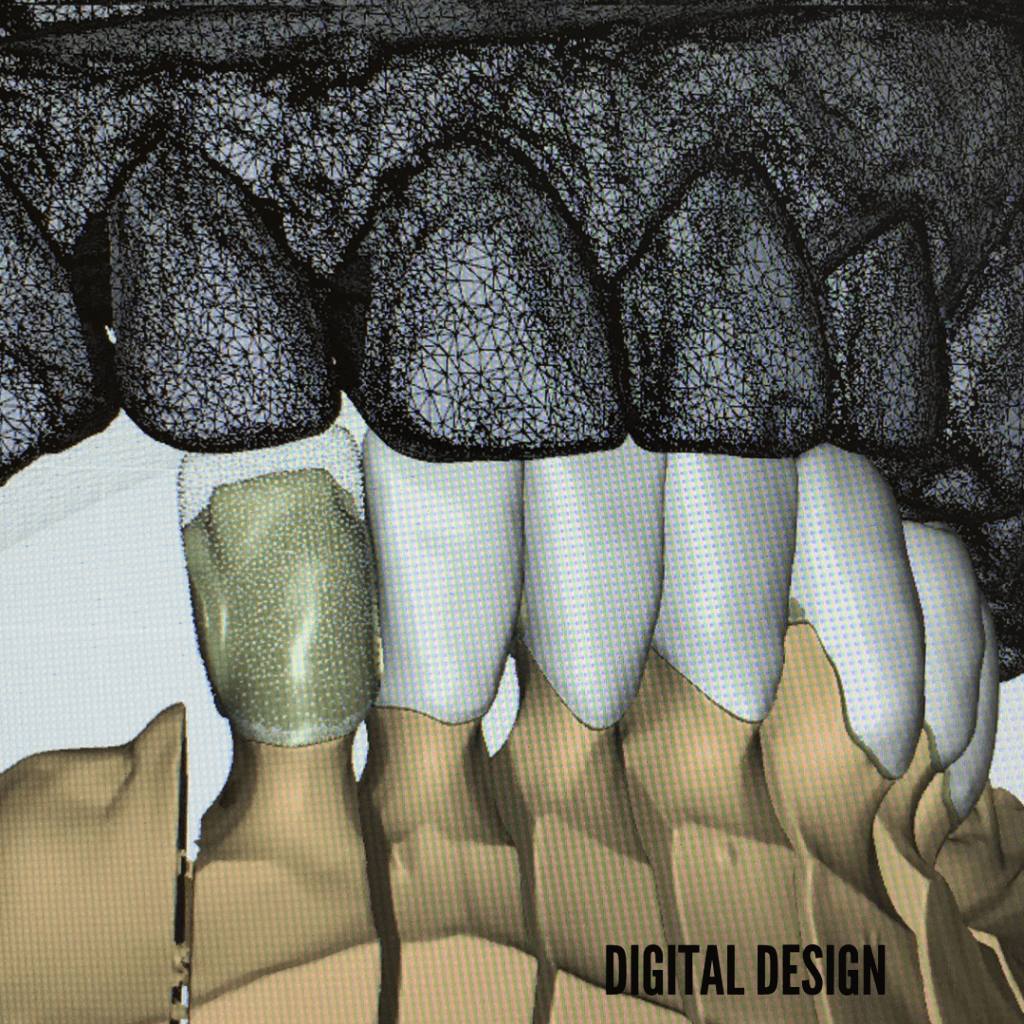 Selectivo Dental | Digital Design | Logroño